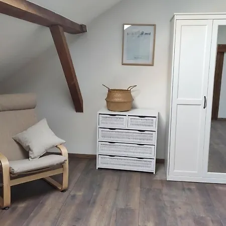 아파트 In Ausgebauter Scheune Mit Ostseenaehe *