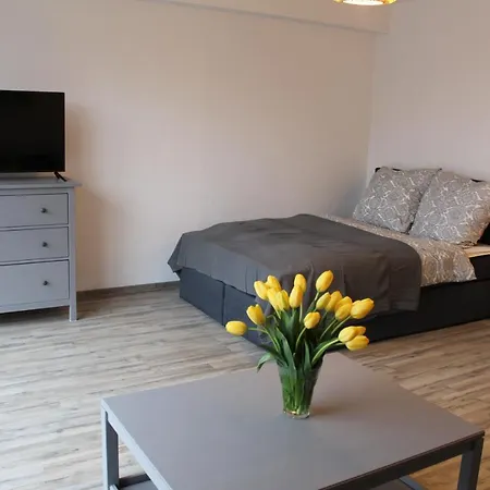 In Ausgebauter Scheune Mit Ostseenaehe Zarnekow